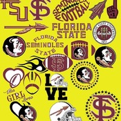 30 Florida State Seminoles svg Dxf Eps Png, Cut File Pack , Download Football Files, Cricut, Cameo, Vinyl Machine Active