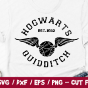 5 Hogwarts Quidditch SVG, Hogwarts Tshirt, Harry Potter Vector, Harry Potter Svg Cricut Silhouette, Harry Potter Tshirt, Quidditch Team, Vin