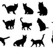 57 Black Cat svg,cut files,silhouette clipart,vinyl files,vector digital,svg file,svg cut file,clipart svg,graphics clipart