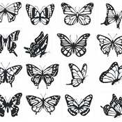 6 Butterfly svg images black and white clip art bundle cut files designs