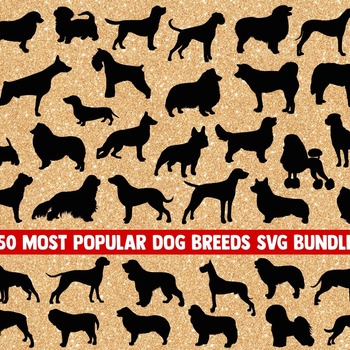 62 Dog breed SVG Bundle, dogs svg silhouette, lab svg, chihuahua svg, corgi svg, dog svg, paw svg, dog breeds svg, svg designs, cricut, png