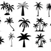 62 Palm tree svg drawing tattoo clipart fruit silhouette king artwork black and white clip art image