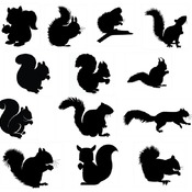 65 Squirrel svg flying christmas clip art silhouette bundle black and white image