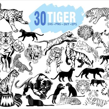 72 Tiger Svg Cat clipart Wild Asia Asian Animal Cricut Silhouette eps dxf png svg Digital files