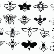 89 Bee honey svg queen drawing black and white image clip art bundle silhouette