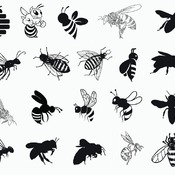 90 Angry bee svg tattoo birthday cartoon designs flying flower clip art