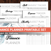 91 Finance planner printable, budget planner printable, financial planner printable, pdf template, editable planner printable, debt tracker