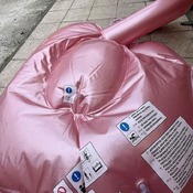 Deflation flamingo float
