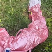 Inflating flamingo float with compressor 2