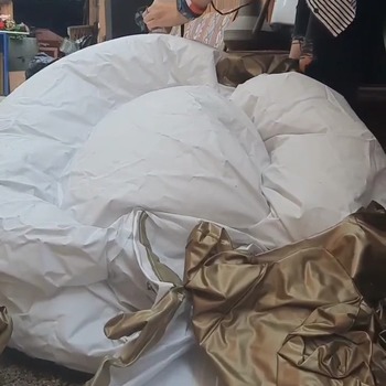 Maky inflating pegasus float