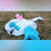 Maky inflating pegasus float