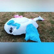 Maky inflating pegasus float