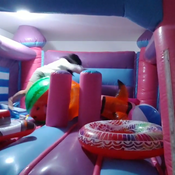 Big pink inflatable castle play with inflatables insite!!!