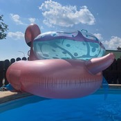 Danny collection with pool lounge and flamingo.