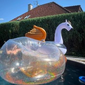 Danny collection with pool lounge and flamingo.