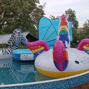 Inflating inflatable lounge island and unicorn