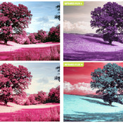 Infrared Film LUTs- Aerochrome