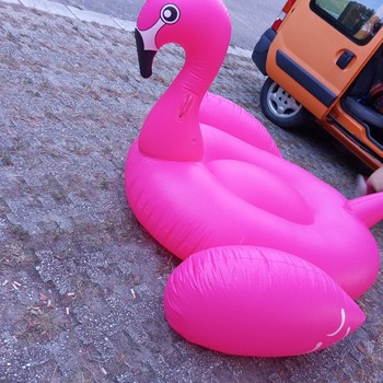 Lara deflating flamigo float