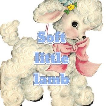 Soft little lamb