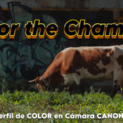 EL MEJOR PERFIL DE COLOR PARA CANON - THE BEST COLOR PROFILE FOR CANON