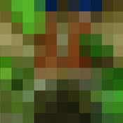 Green Toe