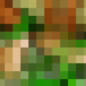 Green Toe
