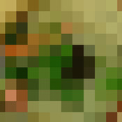 Green Toe