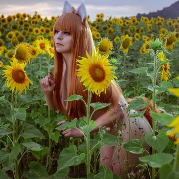 Holo Sunflower Set