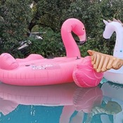 Inflating pool toy on the weekend