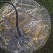 Lena inflating and deflating inflatables