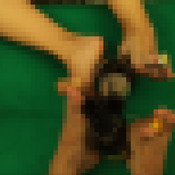 Champange