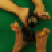 Champange