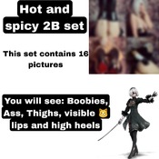 Hot and spicy 2B set