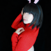 Christmas Bunny Photoshoot