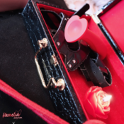 Kitten Furina x Master Arlecchino