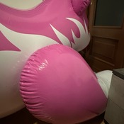 Sign and jump on the pink giant dog!