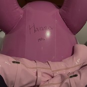 Sign and jump on the pink giant dog!