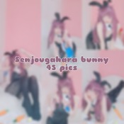 Senjougahara bunnysuit 45 pics