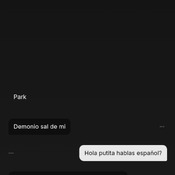 Y tu como los has visto?
