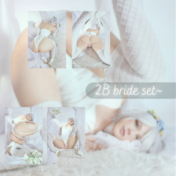 2B bride ero set