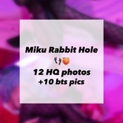 Miku Rabbit Hole????????
