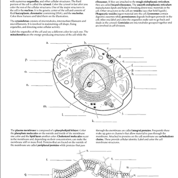 Anatomy Study Book (PDF)