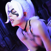 Black Cat