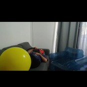 Blow to pop ubiqué 26