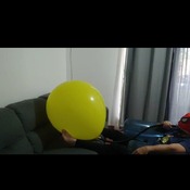 Blow to pop ubiqué 26