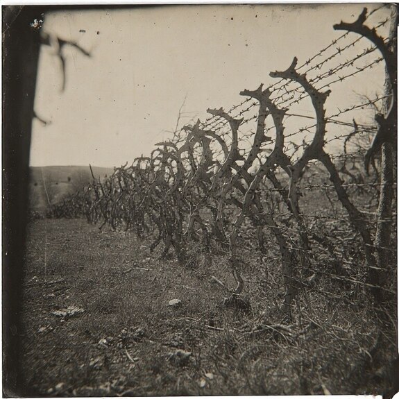 Jerome.C.House (American,1991) Barbed Wire Murder Scenes 2025