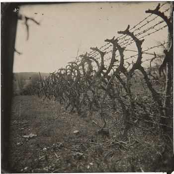 Jerome.C.House (American,1991) Barbed Wire Murder Scenes 2025