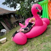 Lera black cat with inflatables