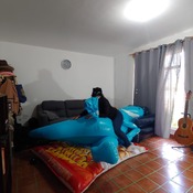 Sexy ride big inflatable Dino by Alice!!!