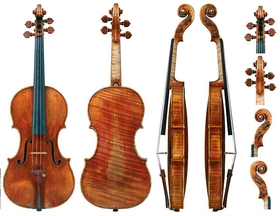 The Guarneri Plowden 1735